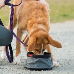 Pet Bowls Manufacturer - Collapsible Ripstop Material Waterproof