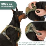 Pet Harness Vest Supplier - Hot Selling Molle System Training