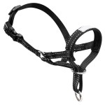 Dog Muzzle Supplier - Reflective Adjustable Neoprene Padded