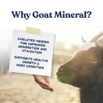 Pet Supplement Manufacturer - Mineral Growth Development Vitamins