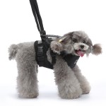 Pet Carrier Harness Factory - Multi-Functional Nylon Lift Strap