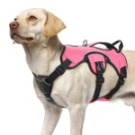 Dog Vest Harness Manufacturer - Custom Escape Proof Soft Padded