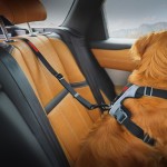 Dog Seat Belt Manufacturer - Adjustable Nylon Solid Pattern