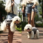 Dog Rehabilitation Harness Manufacturer - Travel Lift Disabled Aged