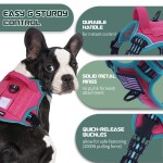 Dog Harness Vest Manufacturer - Hot Selling Breathable Mesh Lining