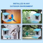 Smart Bird Feeder Supplier - Outdoor HD Camera AI Identification
