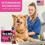 Dog Vitamins Supplier - Bacon Flavor 140 Soft Chews