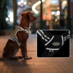 Dog Harness Manufacturer - Tactical Reflective Nylon No Pull