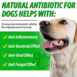 Dog Multivitamin Manufacturer - 60ml Liquid Pet Care Essential