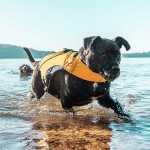 Dog Life Jacket Manufacturer - Ultra-Buoyant Foam Superior Flotation