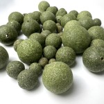 Cat Nip Ball Manufacturer - Spin Mint Refreshing Breath Natural