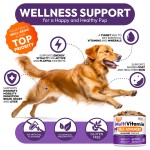 Pet Nutrition Supplement Factory - Essential Vitamin Health Care
