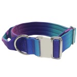 Dog Collar Supplier - Anti-Strangulation Tactical Alloy Buckle