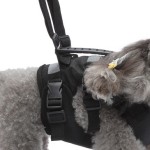 Pet Carrier Harness Factory - Multi-Functional Nylon Lift Strap