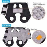 Dog Rehabilitation Harness Manufacturer - Travel Lift Disabled Aged