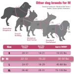 Dog Harness Supplier - Custom Logo Nylon Tactical No Pull