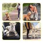 Dog Leash Factory - Reflective Nylon Bungee Rope Metal Clip