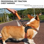 Dog Harness Set Supplier - Adjustable Waterproof PU Leather