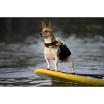 Dog Life Jacket Factory - Custom Small Ergonomic Flotation