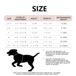 Pet Harness Manufacturer - Nylon Explosion-Proof Reflective Easy