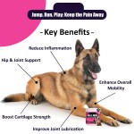 Dog Vitamins Supplier - Bacon Flavor 140 Soft Chews