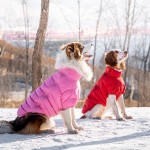 Dog Jacket Supplier - High Quality Luxury Classic Simple