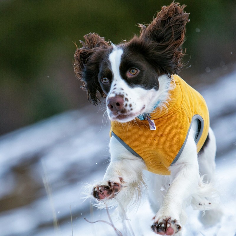 Dog Vest Manufacturer - Autumn Winter Smile Bomb Anti-Static