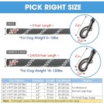 Dog Leash Manufacturer - Reflective Training Nylon Slip Rope