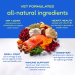 Pet Vitamins Supplier - 11-in-1 Multivitamin Powder Collagen