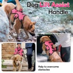 Dog Vest Harness Manufacturer - Custom Escape Proof Soft Padded