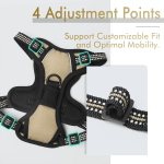 Pet Dog Harness Supplier - Comfortable Mesh Padded Adjustable