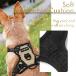 Pet Dog Harness Supplier - Comfortable Mesh Padded Adjustable