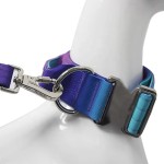 Dog Collar Supplier - Anti-Strangulation Tactical Alloy Buckle