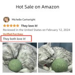 Cat Training Toy Supplier - Super Big Gall Fruit Catnip Ball