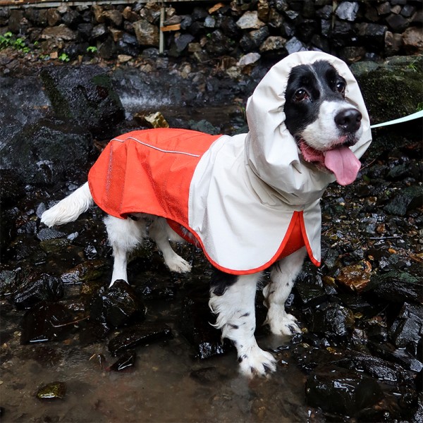 Dog Raincoat Manufacturer - New Hardshell Waterproof Windproof