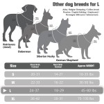 Dog Harness Manufacturer - Tactical Reflective Nylon No Pull