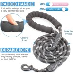 Dog Leash Manufacturer - Reflective Training Nylon Slip Rope