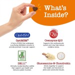 Multivitamin Chewable Supplier - Senior Puppy Omega 3 Fish Oil