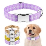 Cat Collar Supplier - Personalized Floral Engraved Breakaway