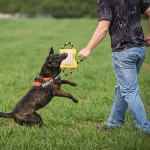 Dog Bite Pillow Factory - Professional Interactive Jute Cotton