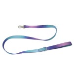 Dog Leash Supplier - Comfort Handle Gradient Colour Outdoor