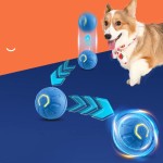 Pet Rolling Ball Supplier - Intelligent TPR Gravitational Jumping