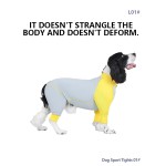 Pet Protective Coat Factory - Modern Simple Breathable Washable