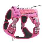 Dog Harness Supplier - Custom Logo Nylon Tactical No Pull