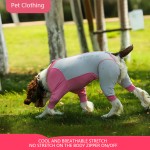 Pet Sunsuit Supplier - Modern Summer Cool Feeling Full Package