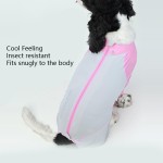 Pet Sunsuit Supplier - Modern Summer Cool Feeling Full Package