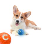 Pet Jumping Ball Manufacturer - Electric Intelligent Bite-Resistant