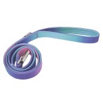 Dog Leash Supplier - Comfort Handle Gradient Colour Outdoor