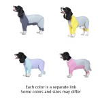 Pet Protective Coat Factory - Modern Simple Breathable Washable