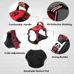 Dog Training Harness Factory - Custom Tactical Reflective Handle